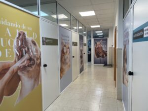 Señalización de pasillo de clínica veterinaria con vinilos impresos y de corte.